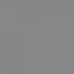 estufas-de-pellets-animo