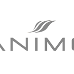 logo-animo