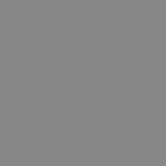 estufa-de-pellets-lena