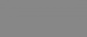 estufa de pellets leña