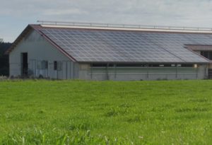 fotovoltaica industrial granja agricola